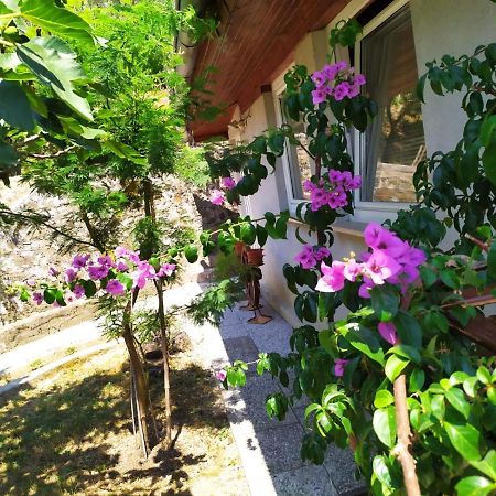Lili House Lägenhet Portorož Exteriör bild