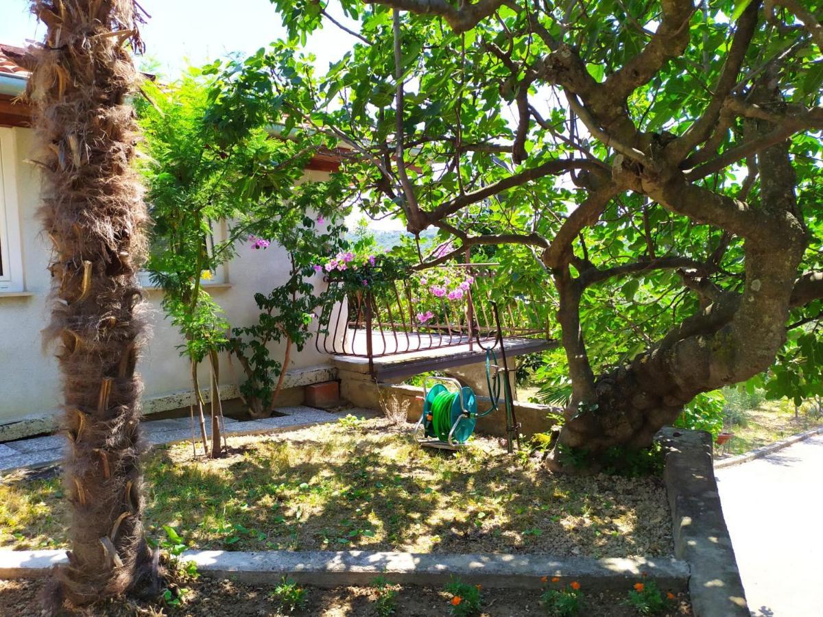 Lili House Lägenhet Portorož Exteriör bild