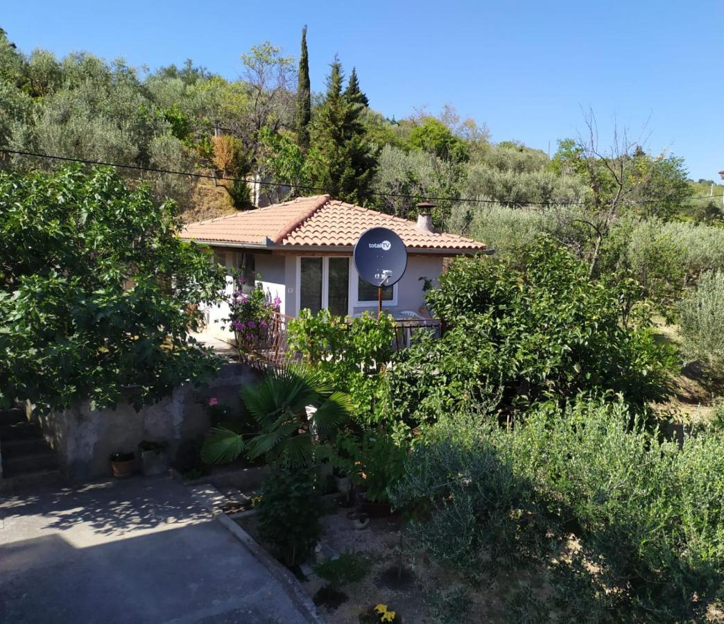 Lili House Lägenhet Portorož Exteriör bild